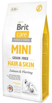Picture of Brit Care Mini Grain Free Hair & Skin